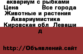 аквариум с рыбками › Цена ­ 1 000 - Все города Животные и растения » Аквариумистика   . Кировская обл.,Леваши д.